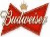 Distribuci�n Cerveza, Agua, Conservas, Vinos, Jumilla, Cieza, Yecla, Murcia - 11