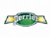 Distribuci�n Cerveza, Agua, Conservas, Vinos, Jumilla, Cieza, Yecla, Murcia - 16