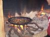 Ventas - Bares - Restaurantes Alhama de Murcia - 11