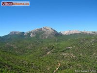 Dise�o Web Alhama de Murcia - 2