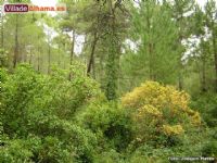 Dise�o Web Alhama de Murcia - 3