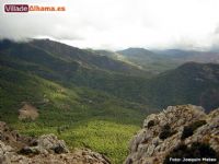 Dise�o Web Alhama de Murcia - 5