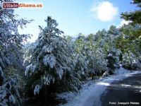 Dise�o Web Alhama de Murcia - 6