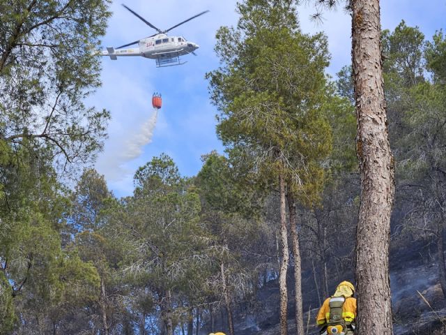 Incendio forestal declarado junto a San José de la Montaña (Murcia)