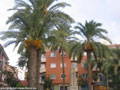 Fotos de Torre Pacheco