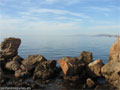 Fotos de �guilas