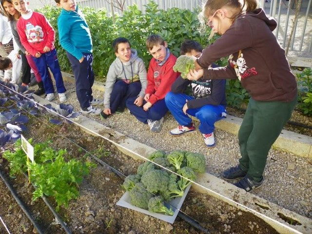 21 centros educativos constituyen la Red de Huertos Escolares