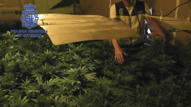 La Policía Nacional desmantela una plantación de marihuana en un piso de una pedanía murciana