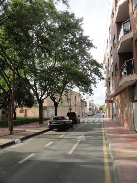 El Grupo Socialista denuncia el abandono del arbolado de Sangonera la Verde