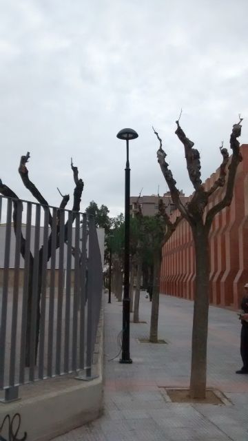 Calidad Urbana cambiará más de 500 luminarias en distintas avenidas, calles y jardines de la ciudad
