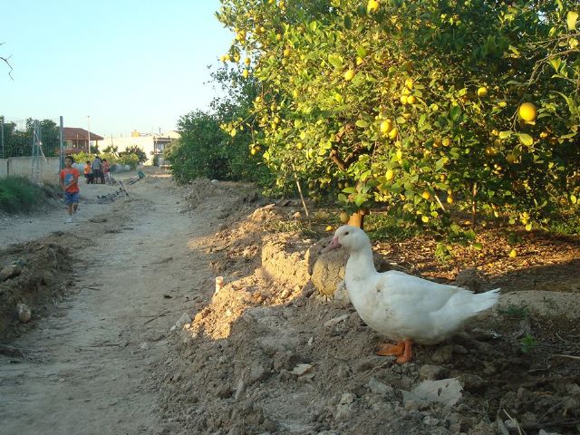 Cambiemos Murcia propone rehabilitar el patrimonio con una escuela taller y la recuperación de la acequia de Raal Viejo