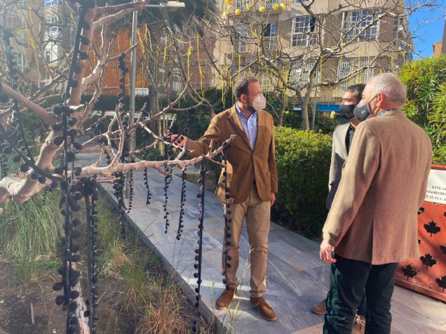 El Ayuntamiento realiza una intervención con cientos de flores mimosas en los espacios verdes de Santa Eulalia