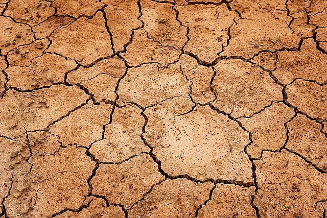 Especialistas de la Europa meridional buscarán soluciones a la desertificación en un foro organizado por la UMU