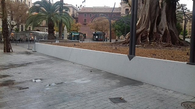 Retiran una parte de las vallas del ficus de la Plaza Santo Domingo
