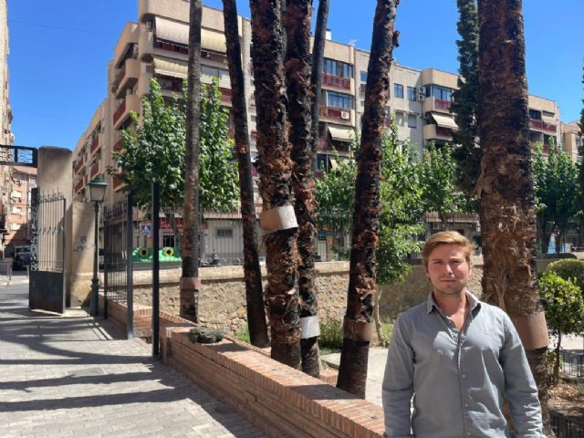 VOX consigue que se valle y cierre de noche el jardín Viudes