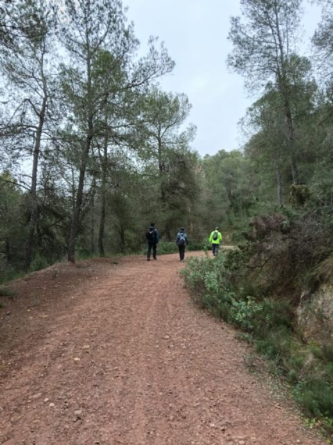 Regresan las rutas medioambientales gratuitas organizadas por el Ayuntamiento, con una salida al Pico del Águila