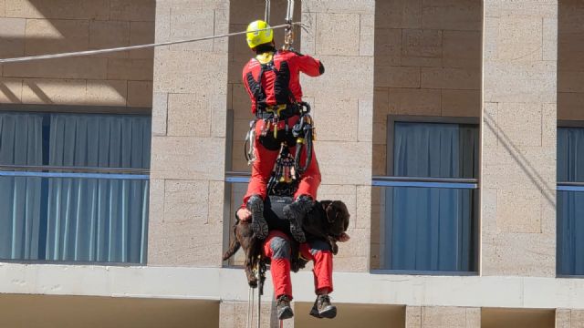 Murcia reconoce la excelencia y el compromiso de sus Bomberos con una espectacular exhibición en la Plaza del Cardenal Belluga