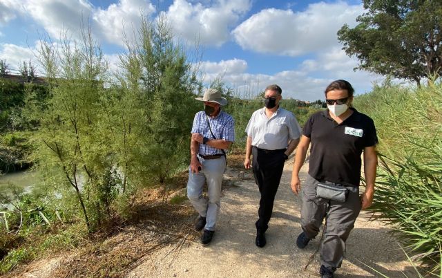 El Ayuntamiento y ANSE recuperan el bosque de ribera en el río Segura a su paso por El Raal