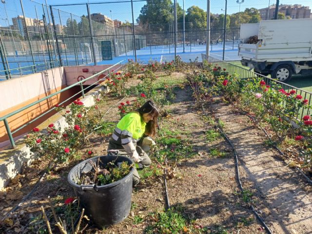 El Ayuntamiento concluye la poda de más de 10.000 rosales para facilitar su floración en primavera