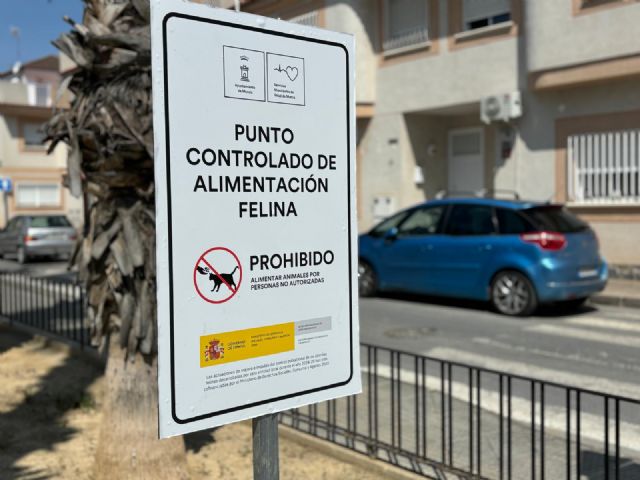 El Ayuntamiento de Murcia impulsa la gestión ética de las colonias felinas con cerca de 2.900 gatos esterilizados
