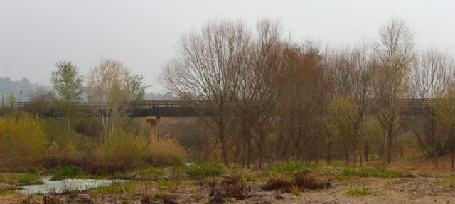 El Ayuntamiento destina más de 190.000€ para transformar la Contraparada en un espacio natural más accesible y eficiente