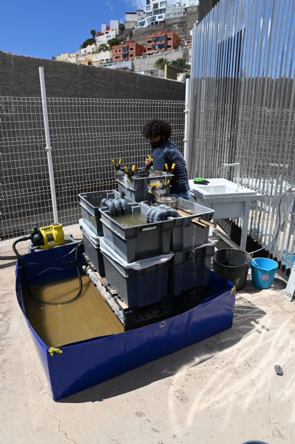 La UMU patenta un innovador sistema sostenible para el lavado de sedimentos arqueológicos