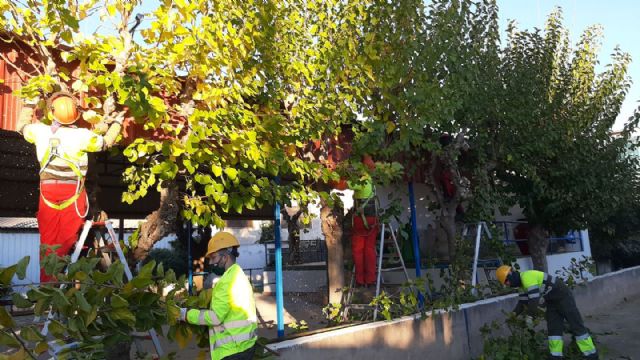 El Ayuntamiento mantiene el 'ciclo verde' utilizando triturado de poda en los parques y jardines del municipio