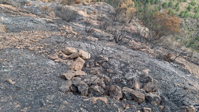 Huermur lleva a la Fiscalía el incendio que ha calcinado el Castillo de Los Garres y arrasado 177 hectáreas de alto valor natural y paisajístico