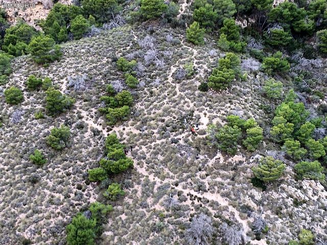 Rescatan a una senderista de 55 años accidentada en la Sierra de Columbares, en Murcia