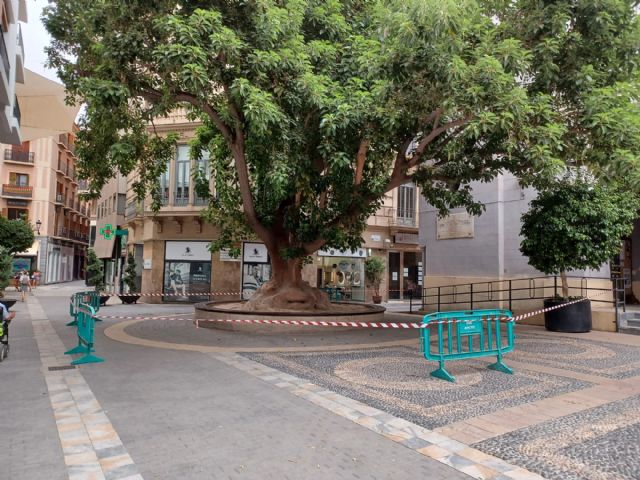 Todos los servicios municipales implicados, en alerta ante la previsión de aumento de temperaturas