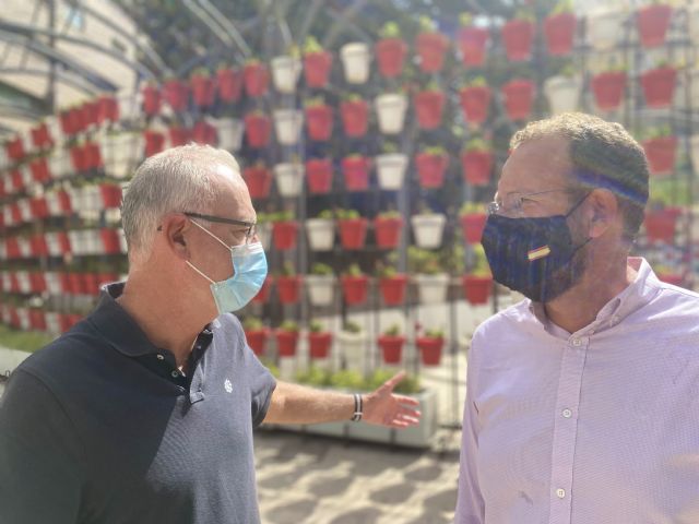 El PP denuncia el completo abandono al que están sometidos los parques y jardines de Murcia debido a la inacción del PSOE