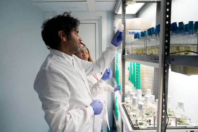 La Universidad de Murcia obtiene más de 51 millones de euros de fondos europeos NextGenerationEU para proyectos de transformación e innovación