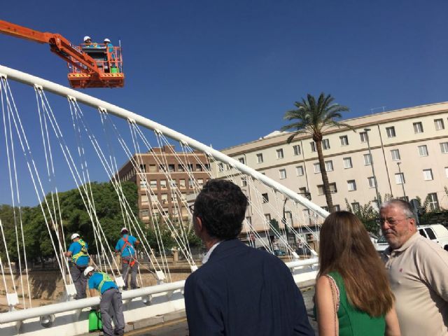 Limpieza de altura en los puentes del Segura