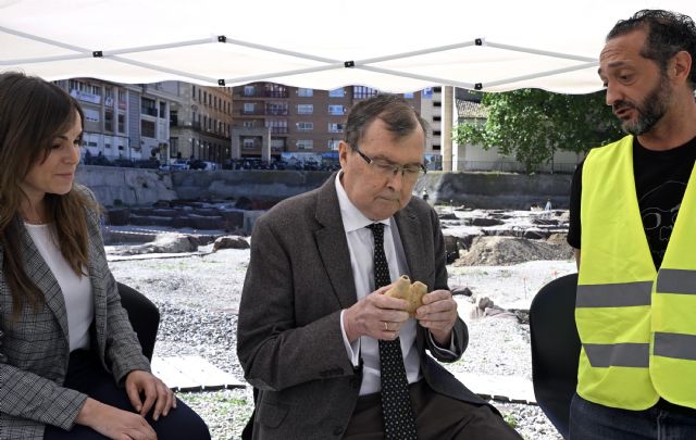 El Yacimiento de San Esteban saca a la luz el primer dromedario hallado en la ciudad de Murcia