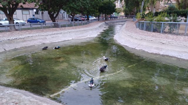 El Ayuntamiento pone a punto los 3.000 m3 del lago del Jardín del Salitre con una limpieza en profundidad
