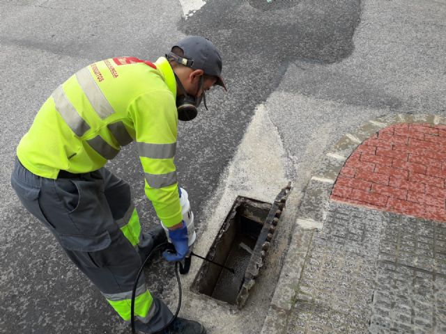 El Ayuntamiento continúa con el plan contra el mosquito tigre esta semana en ocho pedanías y el casco urbano de Murcia