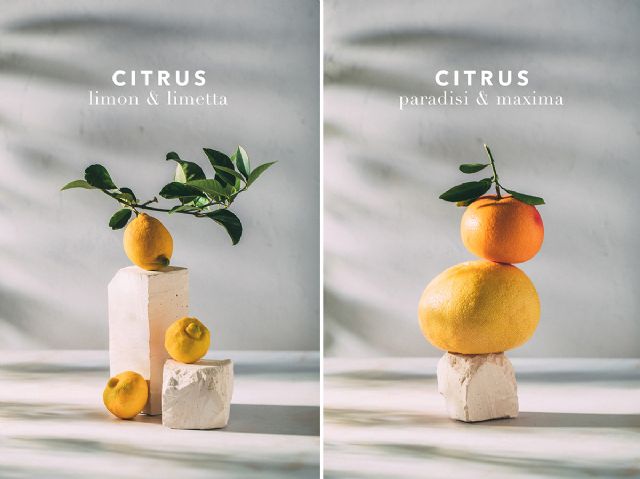 Esculturas con cítricos: Arte objetual en la Huerta