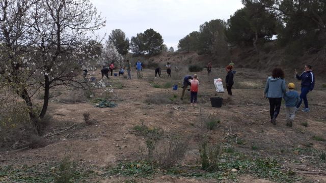 Más de un centenar de voluntarios se implican en la reforestación de los parques municipales del Majal Blanco y Los Pelaos en Corvera