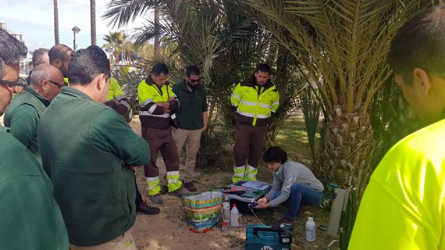Más de una treintena de profesionales recibe formación complementaria sobre endoterapia