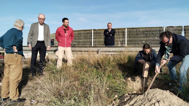 Voluntarios plantan medio centenar de olmos a orillas del río Segura para recuperar los antiguos dominios de la huerta