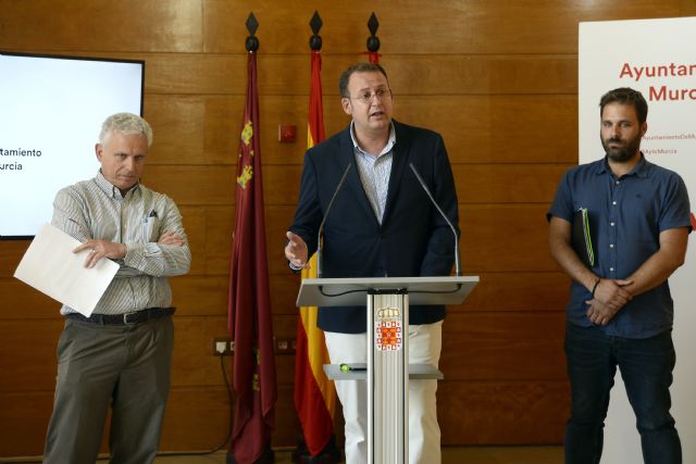 El Ayuntamiento realizará un diagnóstico en profundidad del ficus de Santo Domingo para determinar las medidas necesarias para su conservación