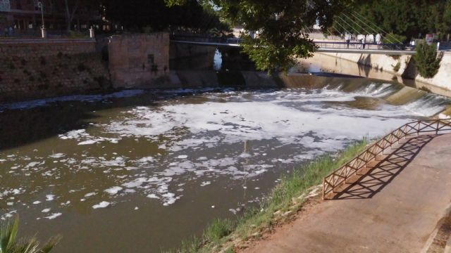 Huermur denuncia de nuevo espumas y peces muertos en el Río Segura a su paso por Murcia