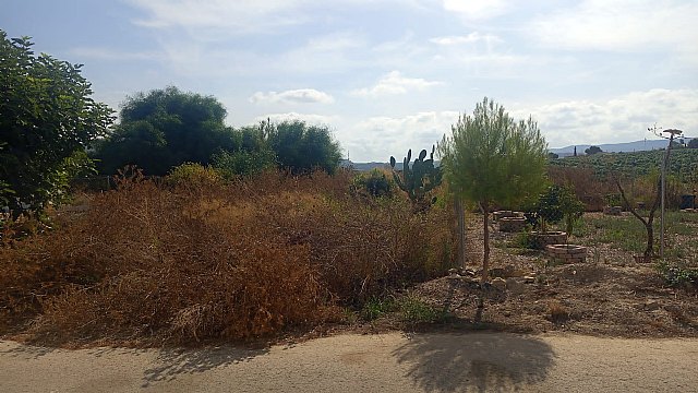 Izquierda Unida reclama al Ayuntamiento de Murcia la limpieza urgente de unos terrenos en la urbanización Monte Blanco