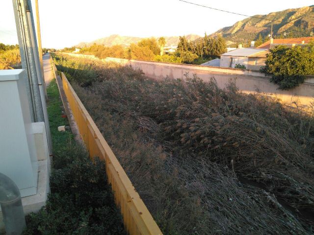 Ahora Murcia solicita la limpieza inmediata del cauce del Reguerón