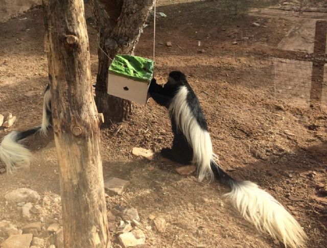 El parque zoológico municipal Terra Natura refuerza sus programas de enriquecimiento ambiental para fomentar el bienestar animal