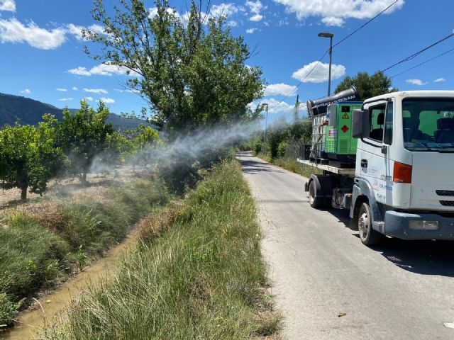 El Ayuntamiento recuerda la importancia de la colaboración ciudadana en la lucha contra el mosquito tigre
