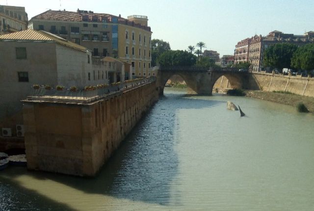 Ahora Murcia reitera que 'se debe garantizar que el tramo urbano del río sea saludable y seguro si se desean realizar actividades lúdicas o deportivas en su cauce'