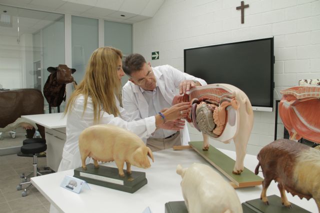La UCAM comenzará las clases de Veterinaria la próxima semana