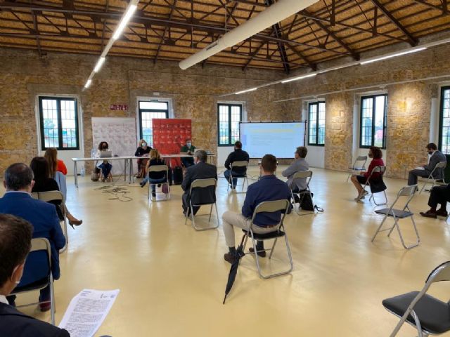 El Consejo Social de la Ciudad analiza las temáticas más relevantes del municipio para la elaboración de la estrategia Agenda Urbana Murcia 2030