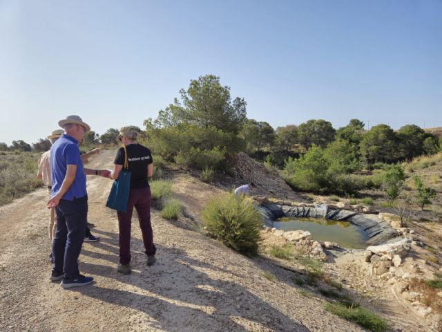 Las acciones medioambientales en la finca forestal municipal de Los Pelaos permite aumentar su masa forestal en más de mil ejemplares